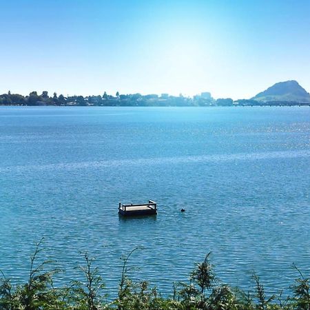 Apartment Near The Water タウランガ エクステリア 写真