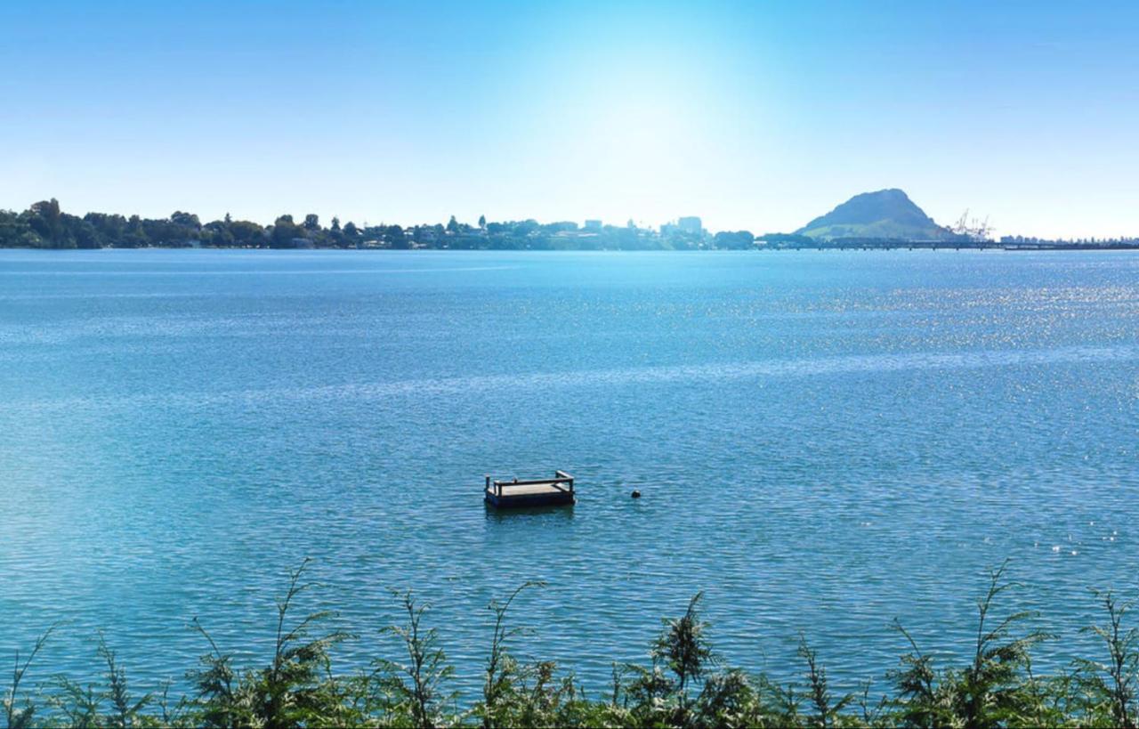 Apartment Near The Water タウランガ エクステリア 写真